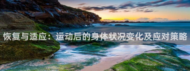 678体育官网地址