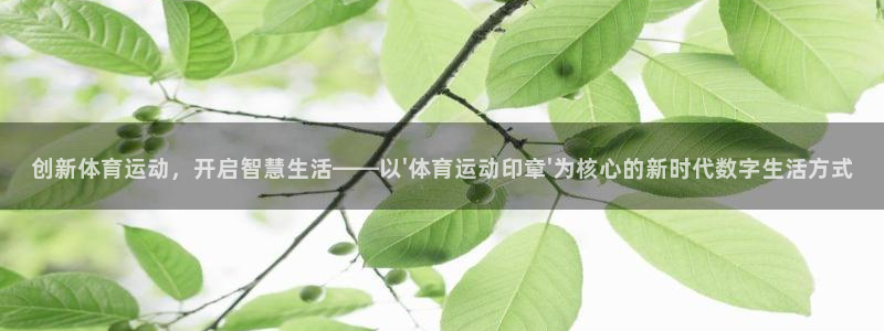 678体育官网