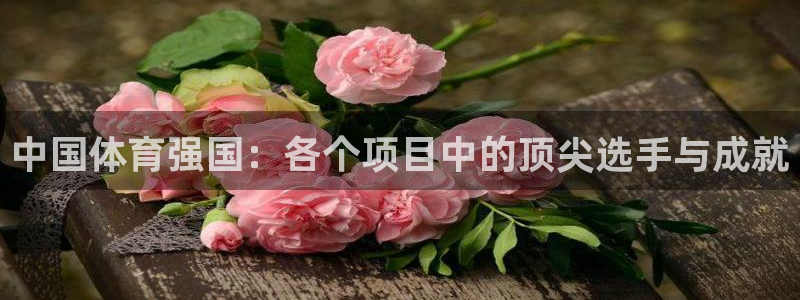 678体育app