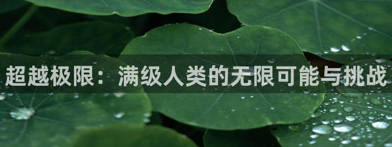 678体育官网地址：超越极限：满级人类的无限可能与挑战