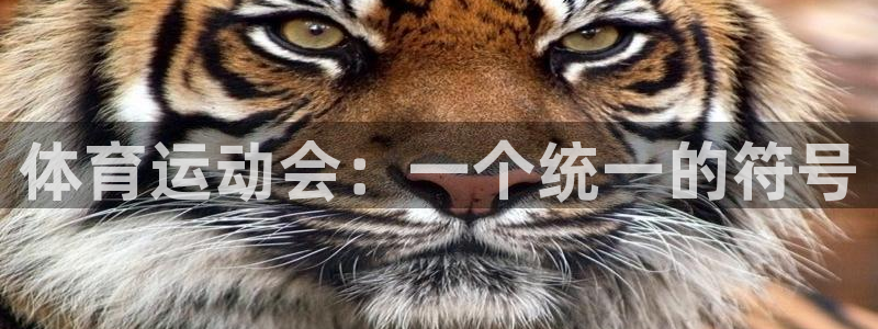 678体育官网地址：体育运动会：一个统一的符号
