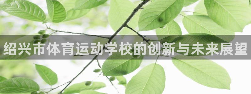 678体育：绍兴市体育运动学校的创新与未来展望