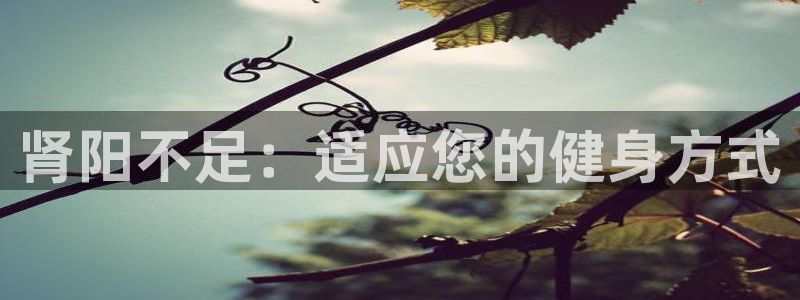 678体育官网下载：肾阳不足：适应您的健身方式