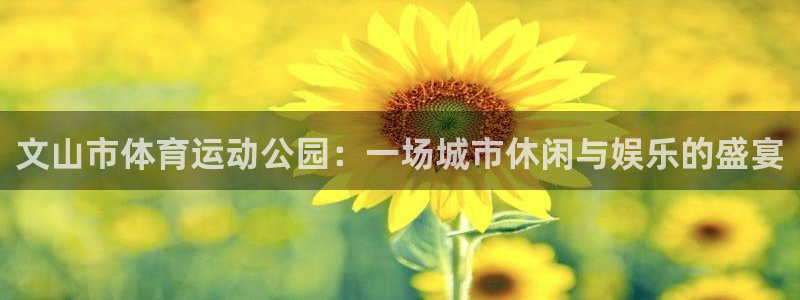 皇冠678体育：文山市体育运动公园：一场城市休闲与娱乐的盛宴