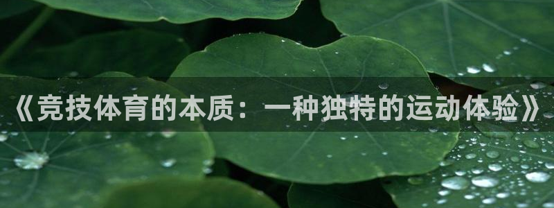 678体育：《竞技体育的本质：一种独特的运动体验》